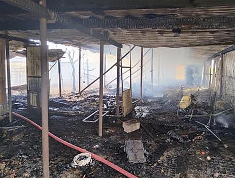 Пожар под Самарой, где погибли домашние животные, ликвидировали
