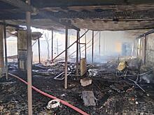 Пожар под Самарой, где погибли домашние животные, ликвидировали