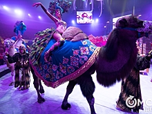 Зрители увидят "Песчаную сказку" Гии Эрадзе на манеже Омского цирка