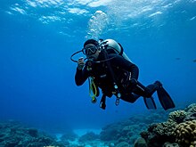 Дайверы обнаружили 100 автомобилей в реке во время поисков пары, пропавшей 55 лет назад