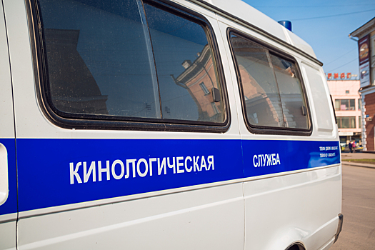 Горноалтаец сорвал междугородний рейс шуткой о бомбе в автобусе