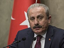 Глава турецкого парламента пояснил свои слова про единую тюркскую армию