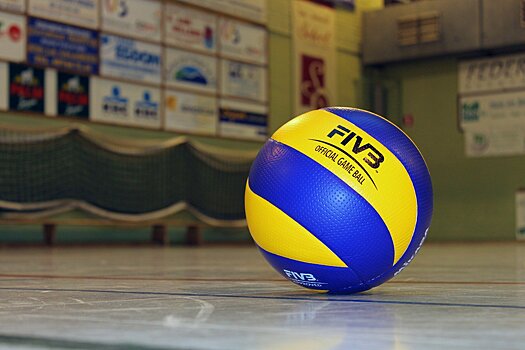 Пенсионеры из Войковского займутся волейболом