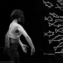 «Бойцовая рыбка» устроит заплыв на фестивале «Формы танца» в Санкт-Петербурге