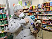Аналитики рассмотрели предпосылки для снижения цен в России