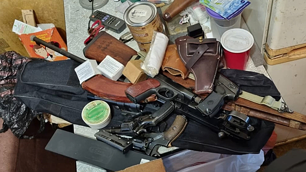 В Колпино полицейские обнаружили в коммунальной квартире арсенал оружия