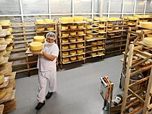 Россия продлила эмбарго