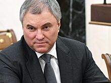 Володин: принятые на референдумах решения спасут миллионы людей от геноцида