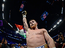 Альварес исключен из рейтинга WBC
