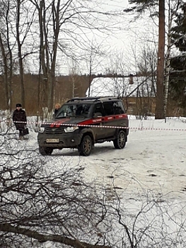В Новгородской области ребенка убило спиленным деревом