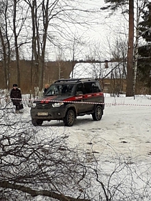 В Новгородской области ребенка убило спиленным деревом