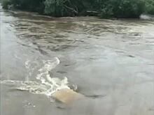 В Приморье обнаружен автомобиль-«утопленник»