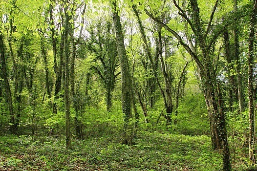 На Кубани начали работы для расчета ущерба ООПТ из-за ЧП с танкерами