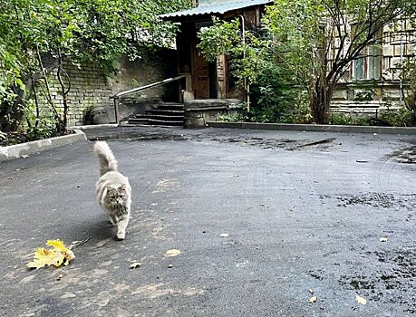 Илья Лагутин рассказал о планах своей работы на посту главы АНО «АСИРИС»