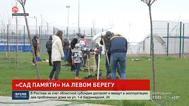 В преддверии 9 Мая Донской край принимает участие в акции &laquo;Сад памяти&raquo;