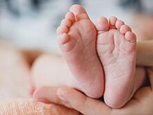 «Крылья Советов» стали самым прибыльным клубом РПЛ в 2022 году