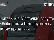 Дополнительные "Ласточки" запустят между Выборгом и Петербургом на мартовские праздники