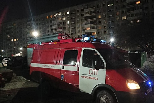 В Новосибирске двое братьев погибли при пожаре в многоэтажке