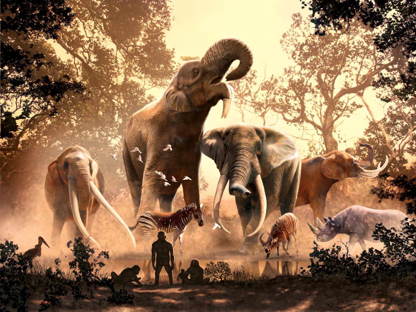 Массовое вымирание слонов было связано с изменением климата -  Рамблер/путешествия