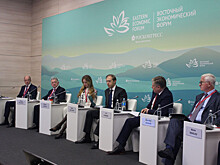 Главные векторы развития всех отраслей хозяйства назвали на ВЭФ