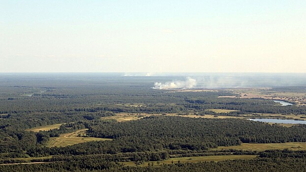 В Вологодской области в конце апреля начнётся пожароопасный сезон