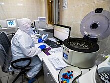 Власти США опровергли информацию о резком росте смертности от COVID-19
