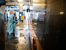 «Калининград-ГорТранс» покупает автоматические рамки для мойки автобусов и троллейбусов