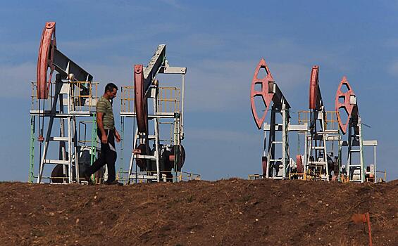 В Чехии признали невозможность полного отказа от российской нефти