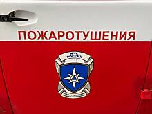 В Курской области сгорел деревянный дом