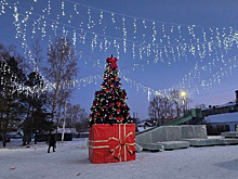 Вандалами в пгт Серышево, которые испортили новогоднюю ёлку на площади, оказались школьники