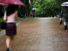 В Москве и Подмосковье объявили желтый уровень погодной опасности