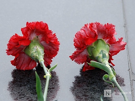 Алексей Грибенников из Лыскова погиб в ходе СВО