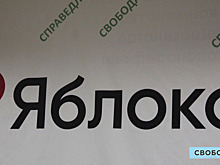 Завтра в Саратове изберут руководство регионального отделения партии «Яблоко»
