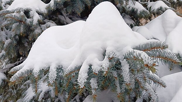 До -9 градусов ожидается в Удмуртии днём 2 февраля