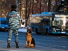 Неизвестные сообщили о минировании нескольких объектов в Подмосковье