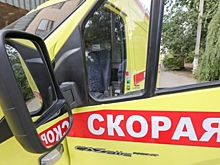 В Волгоградской области в ДТП с КамАЗом пострадал мужчина