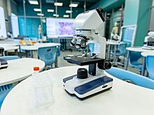 К новому учебному году в Зеленограде отремонтируют два школьных здания