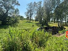 Микроавтобус вылетел в кювет и перевернулся под Ступино в Подмосковье