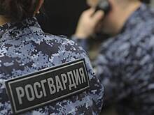 Еврокомиссия предложила ограничить продажу российским силовикам электрошокеров