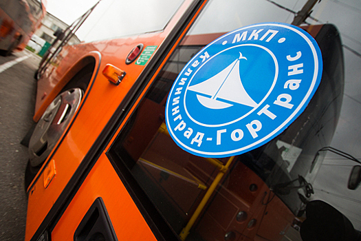 Будут с usb-розетками и тоже рыжие: «Калининград-ГорТранс» покупает 33 новых автобусов марки «ЛиАЗ»