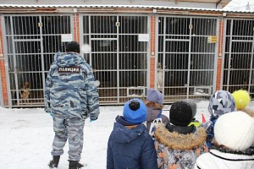 В Челябинской области  дошколята встретились с Полицейским Дедом Морозом