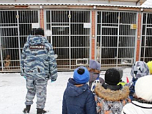 В Челябинской области  дошколята встретились с Полицейским Дедом Морозом