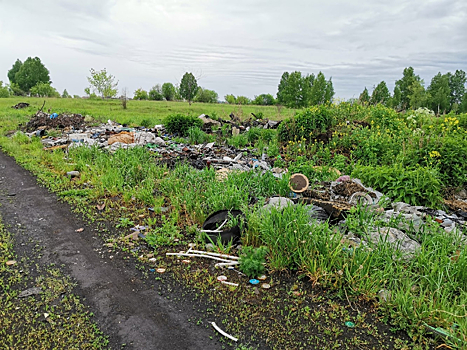 Житель Кузбасса пожаловался на мусорные "красоты"