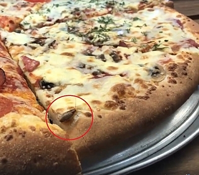 Живого таракана в пицце обнаружил нижегородец