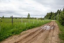 Две женщины в Ярославской области присвоили себе земли на 3,6 миллионов рублей