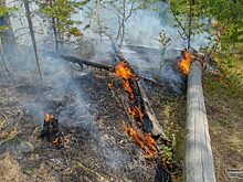 На Ямале за сутки потушены четыре пожара, два — локализованы