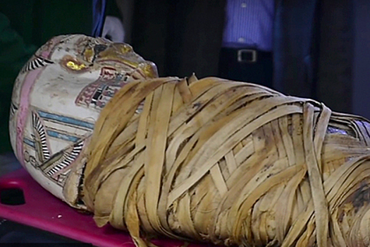 У египетской мумии обнаружили рак