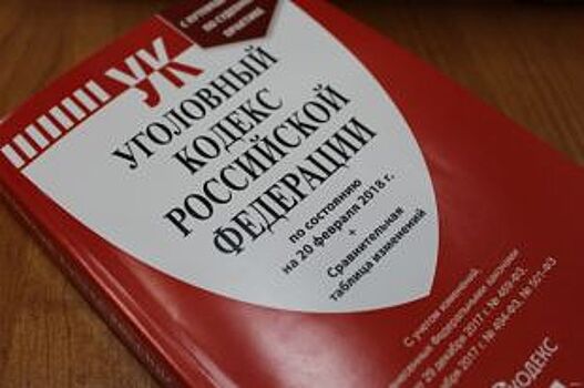 Восьмерых ставропольцев обвиняют в похищении девушки