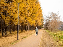 Ижевчанам рассказали, почему в 2025 году сквер на улице Ворошилова не доделали