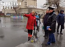 Член ОНФ Светлана Калинина потребовала закрыть скейт-парк в Новосибирске